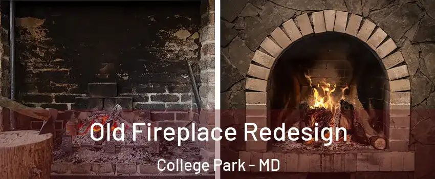  Old Fireplace Redesign College Park - MD