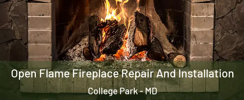  Open Flame Fireplace Repair And Installation College Park - MD