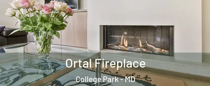 Ortal Fireplace College Park - MD