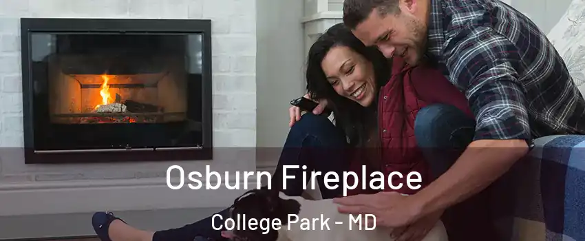  Osburn Fireplace College Park - MD